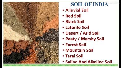 Different Varieties of Soil In India