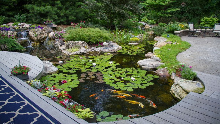 Pond with Integrated Seating